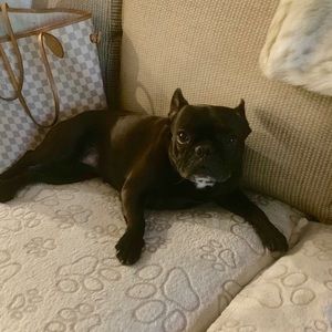 Meet your Posher, Lexi